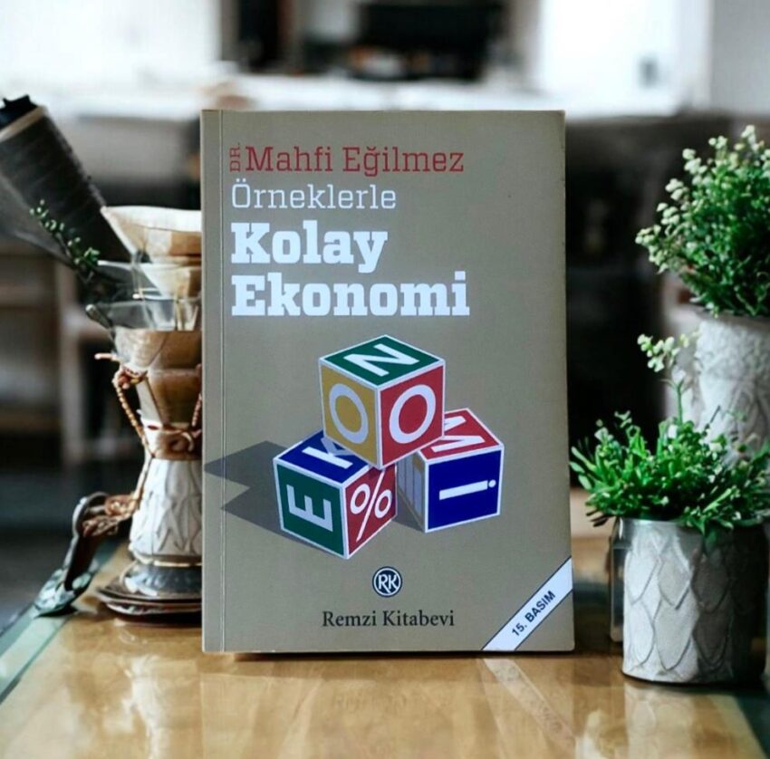 orneklerle kolay ekonomi kitabı, magfi egilmez